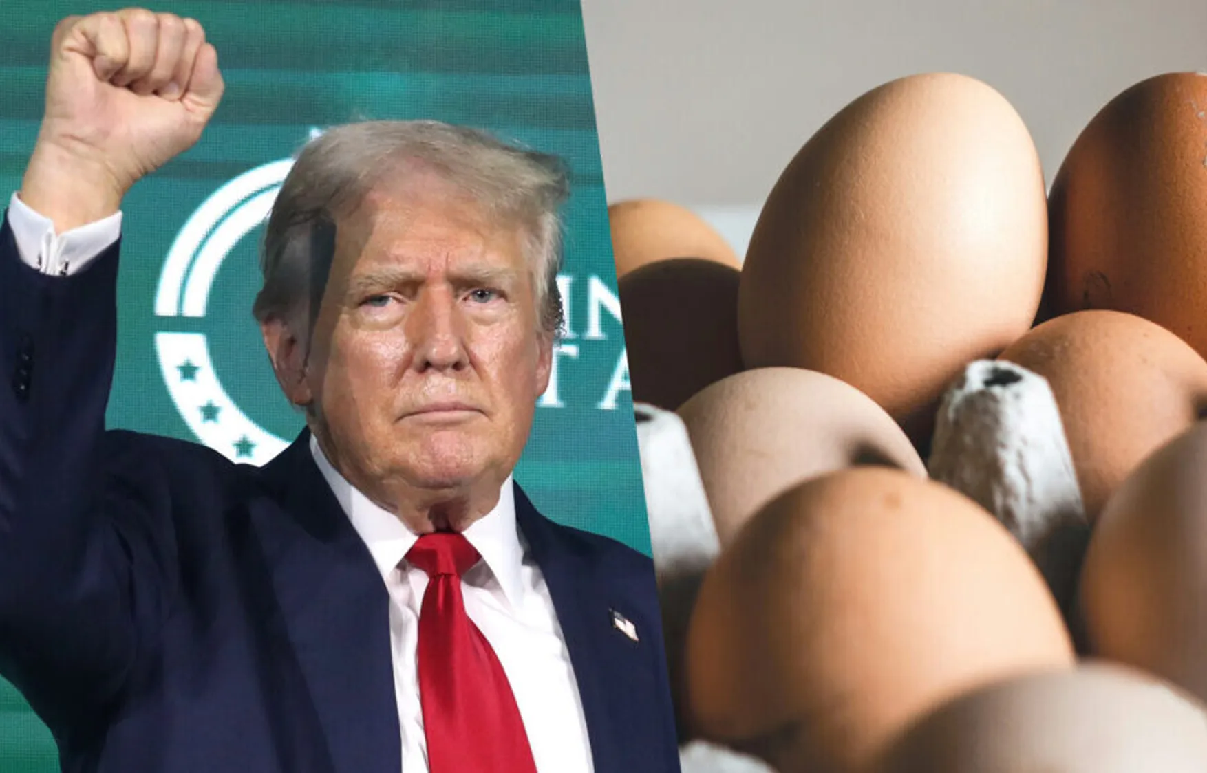 The eggs of wrath: Trump’s tariffs could harm the U.S. economy most of all